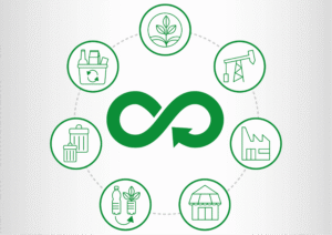 Estratégias para incorporar a economia circular na sua rotina e reduzir despesas em tempos de preços elevados