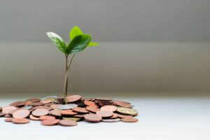 O Papel das Fintechs na Promoção da Inclusão Financeira no Brasil